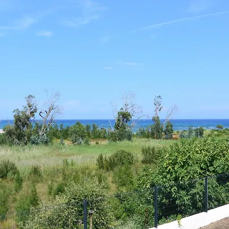 Emma * Sari-Solenzara